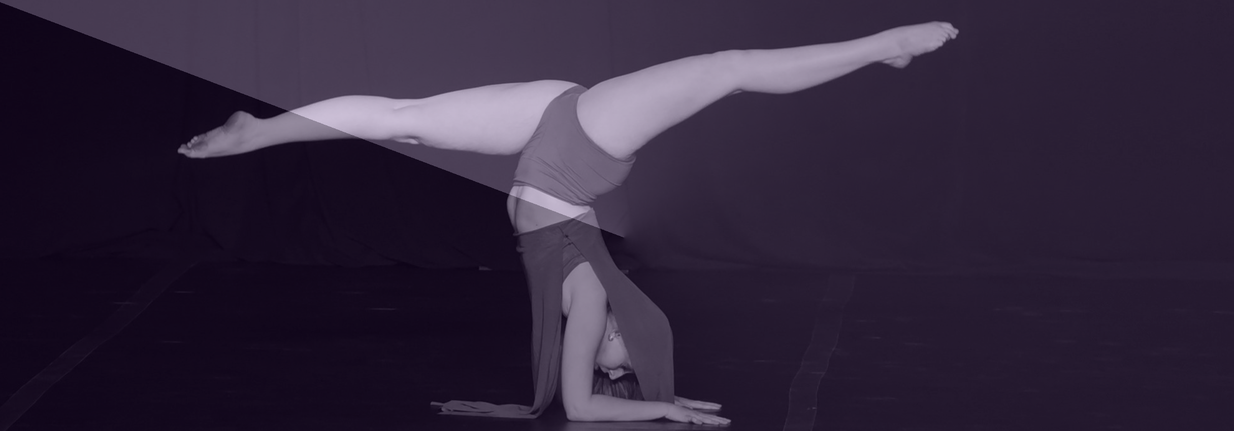 ADJUDICATION       ACCESS